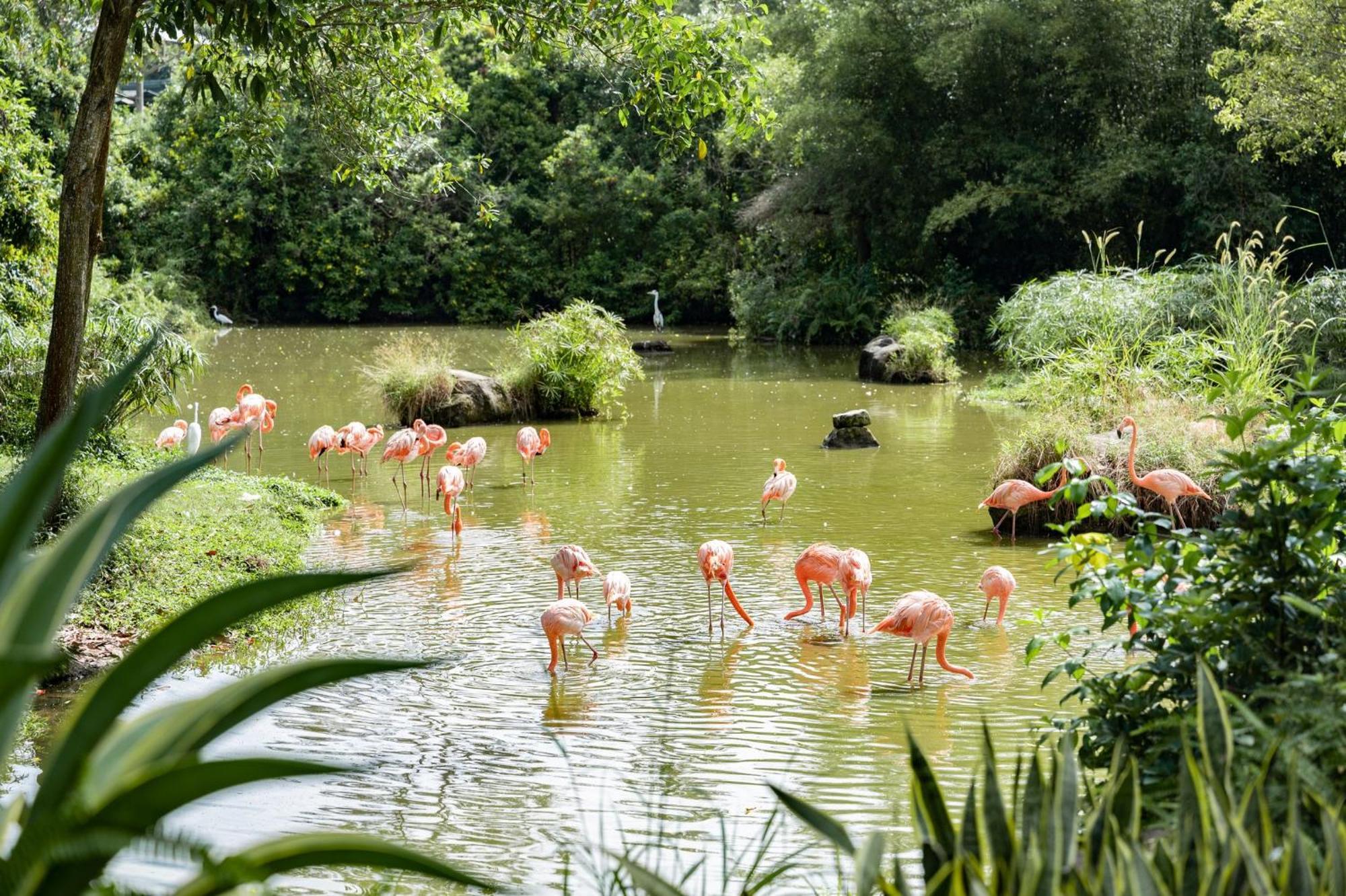 ホテル Crowne Plaza Phu Quoc Starbay By Ihg エクステリア 写真